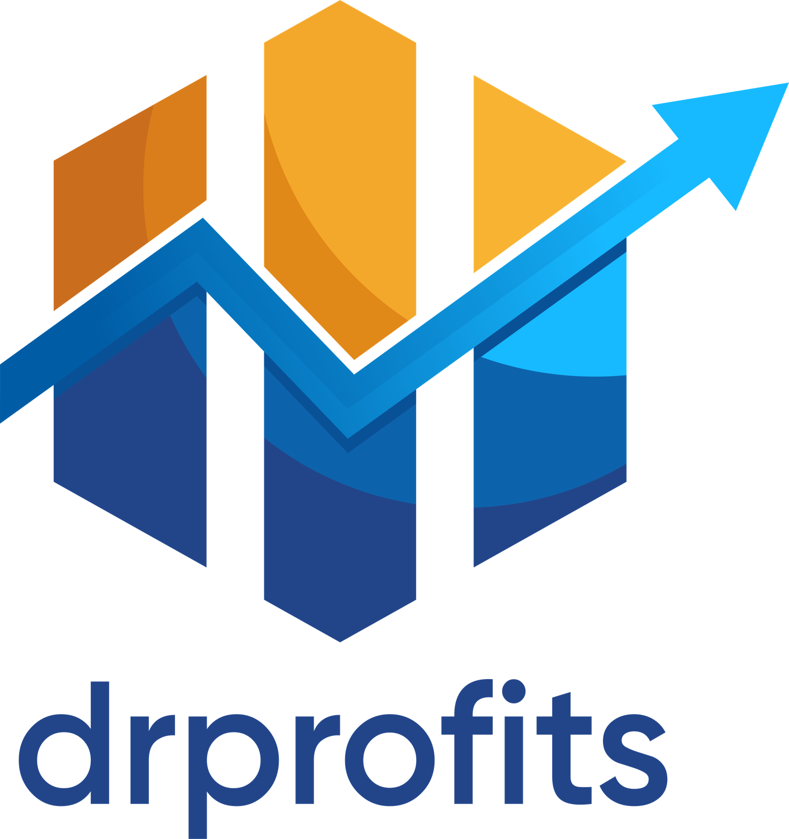 Dr Profits Owner
